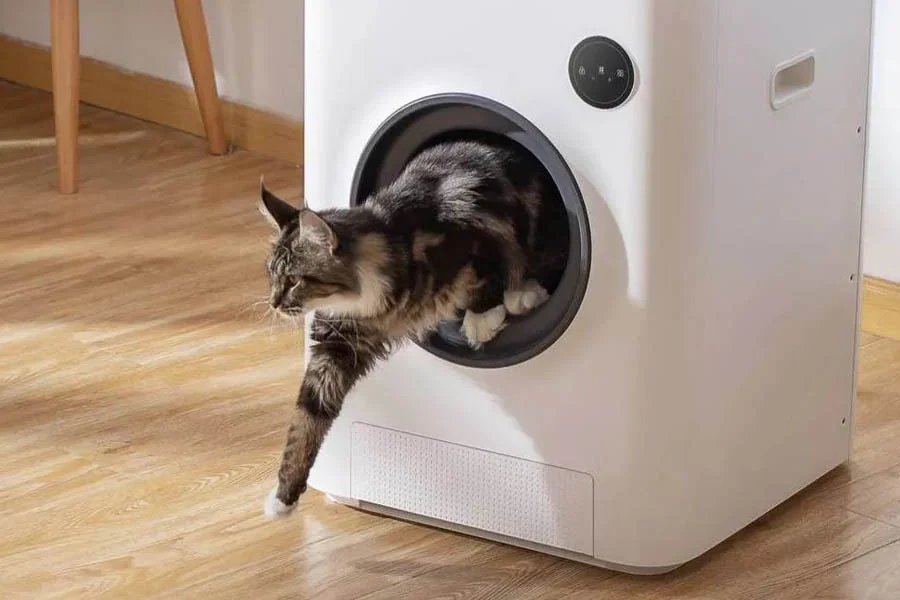 best litter box for multiple cats automatic